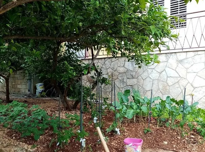 Lalic * Макарска